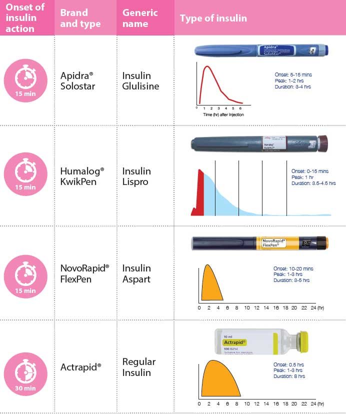 Types of Insulin and Their Action Profiles — Steemkr