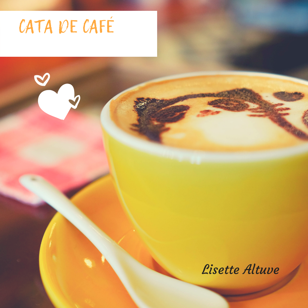 Cata de café por LIsette A..png