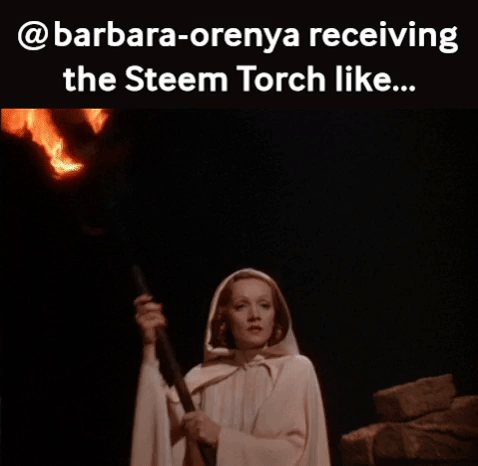 barbara-orenya steem torch.gif