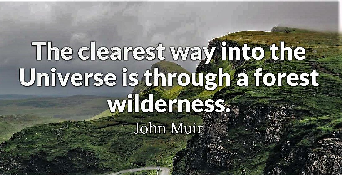 johnmuir1-2x.jpg