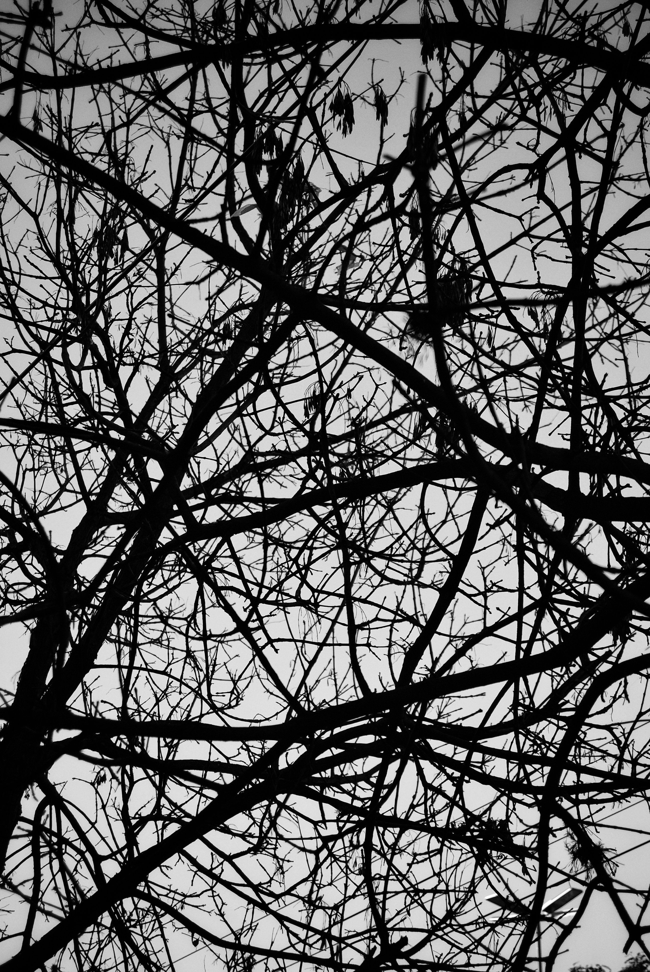 DSC_0183-01-01.jpeg