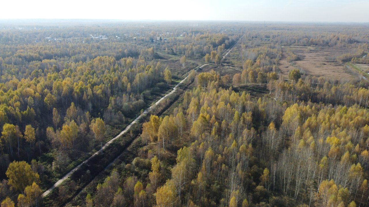 DJI_0295.JPG