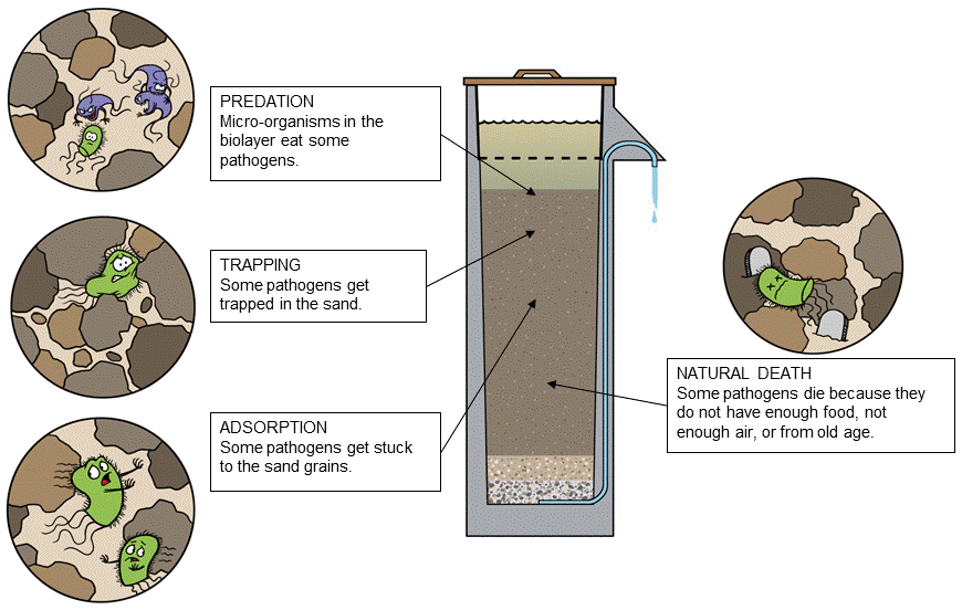 Removal_Mechanisms.gif