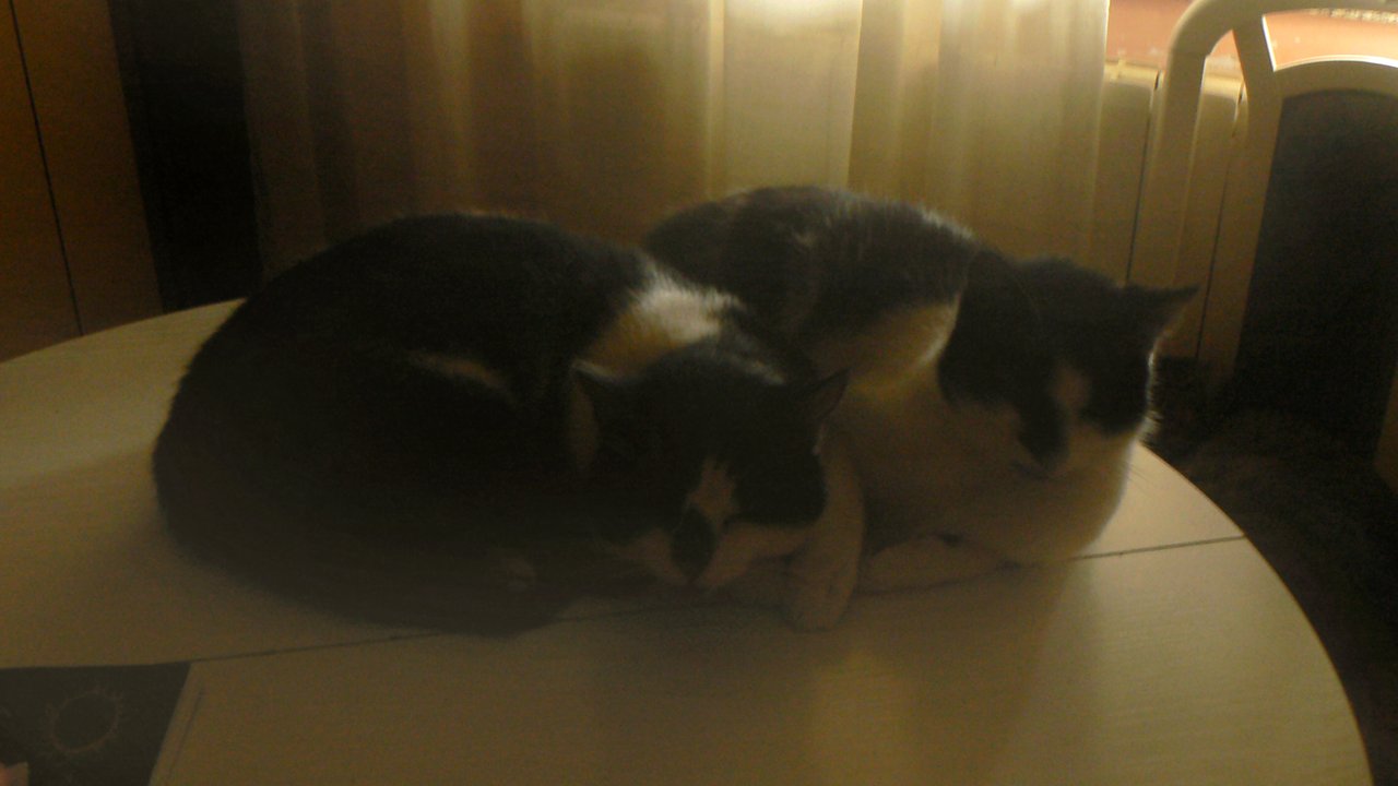 P1920672 samo malo.jpg