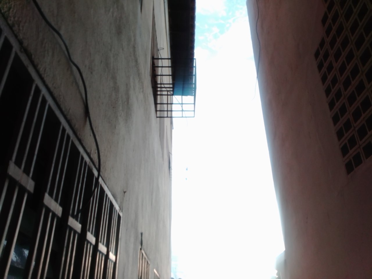 IMG_20210411_173336.jpg