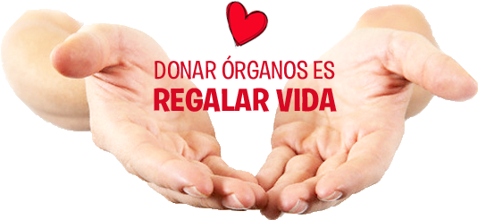 DONAR.png