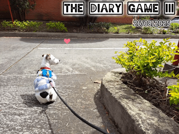 1000028429.gif