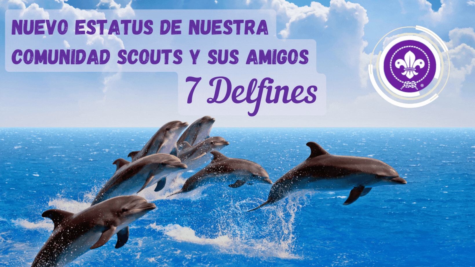Nuevo Estatus 7 Delfines.gif