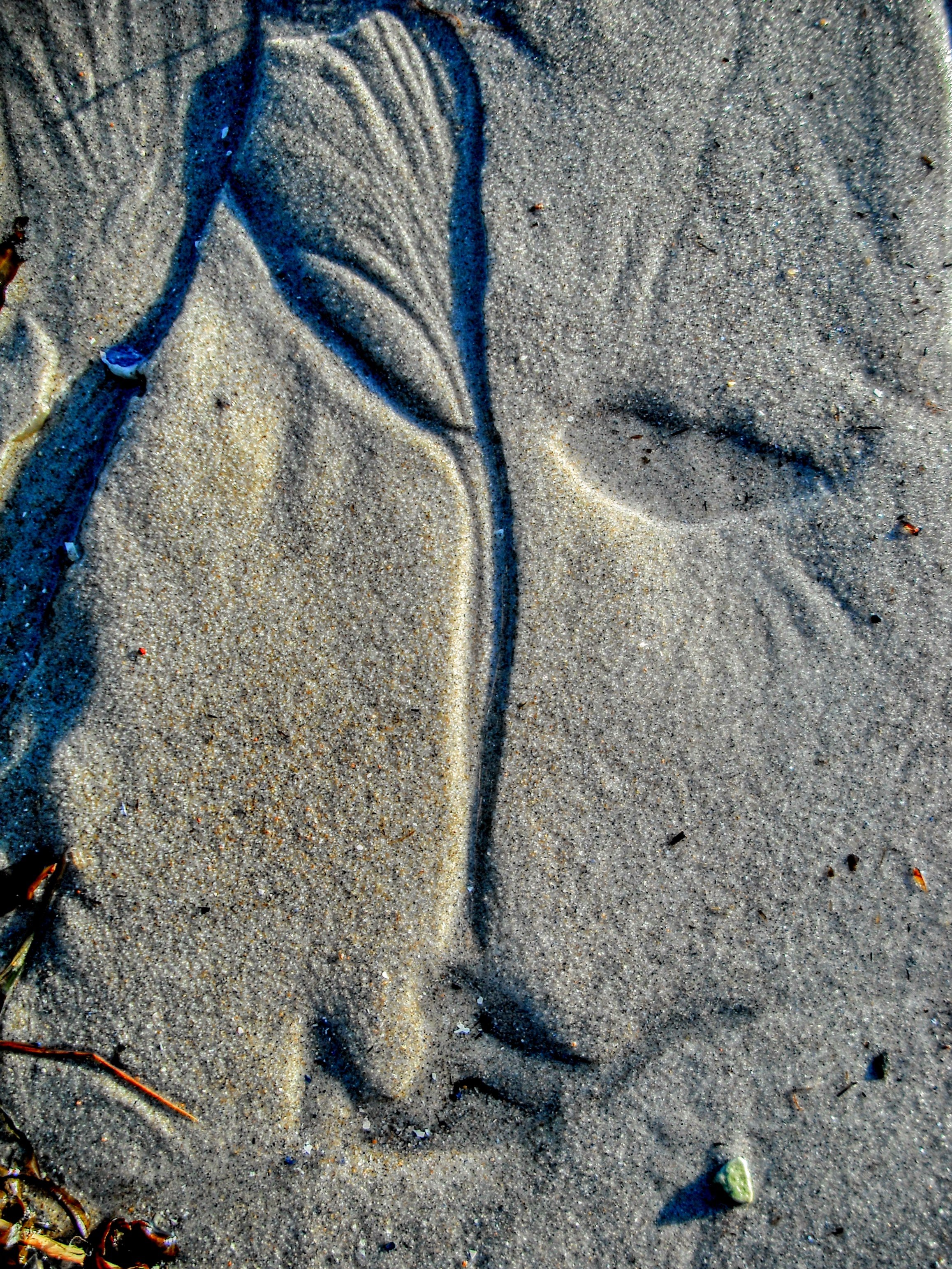 DSCF5482.jpg