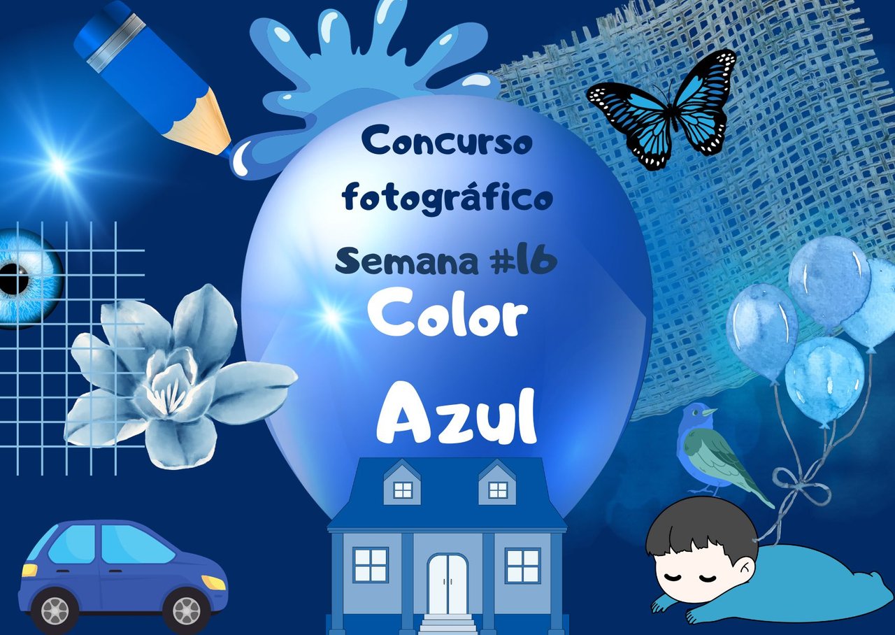 Concurso fotografico #3 (8).jpg