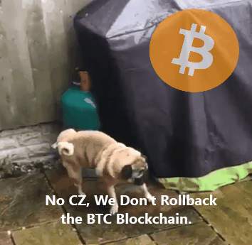 btc-blockchain-rollback-cz-hilarski.gif