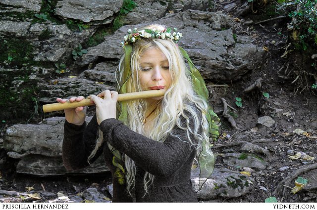 bansuri - by Priscilla Hernandez (yidneth.com).jpg