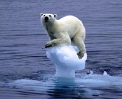 2010-06-08-bear.jpg