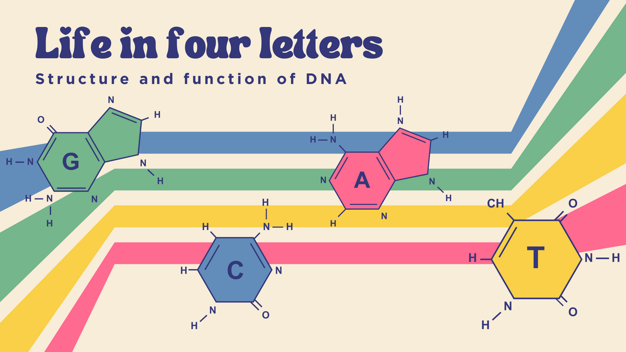 Genetics Basic concepts Presentation in colorful ilustrative style - 2.png