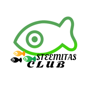 logo.png