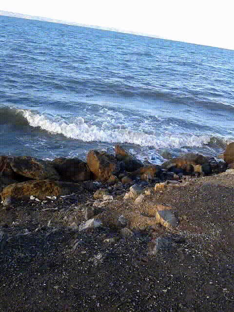 video-2021-01-02-17-12-56_1.gif