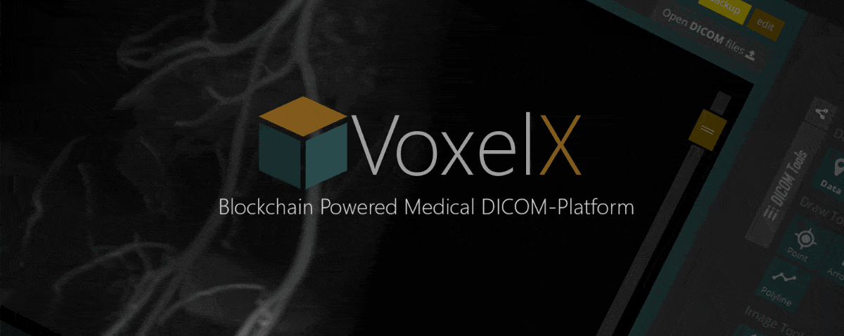 voxel.jpg