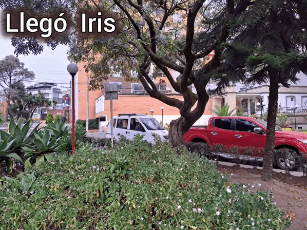 1000029934.gif