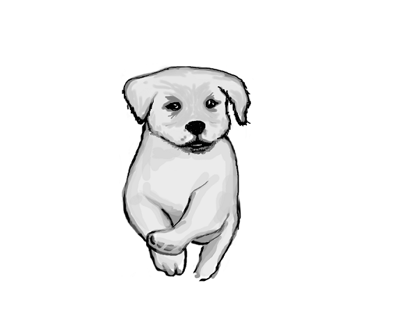 walking-dog-sketch-3.png