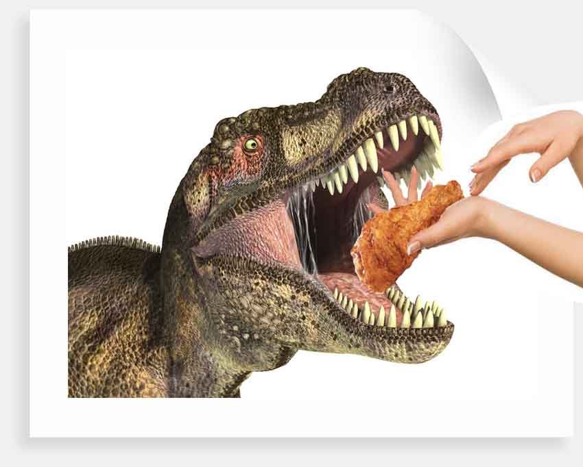 dinnosaurio y pollo.jpg
