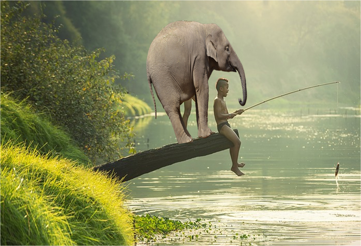 elefante 2.png