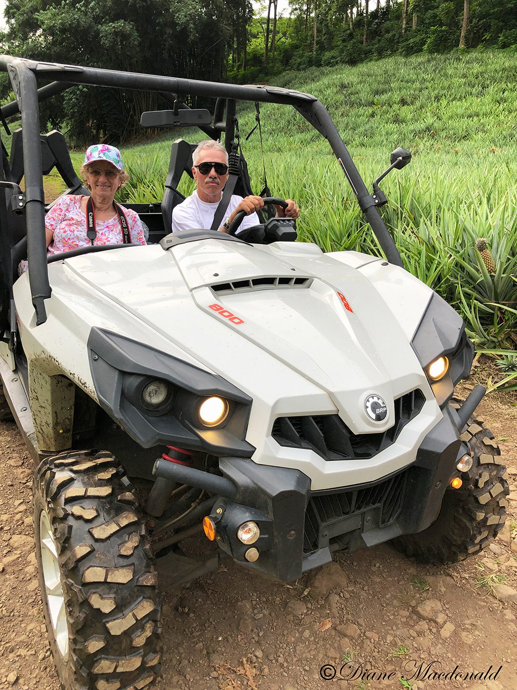 ATV In Pineapple Field.jpg