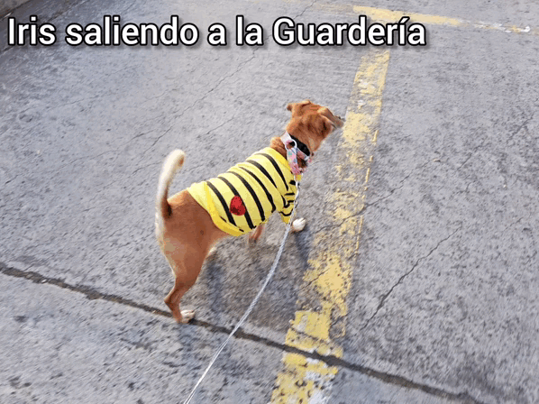 1000028139.gif
