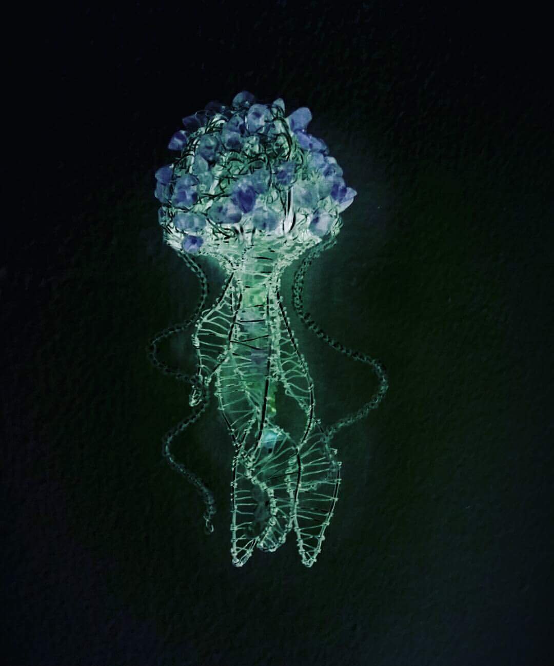 jellyfish2.jpg