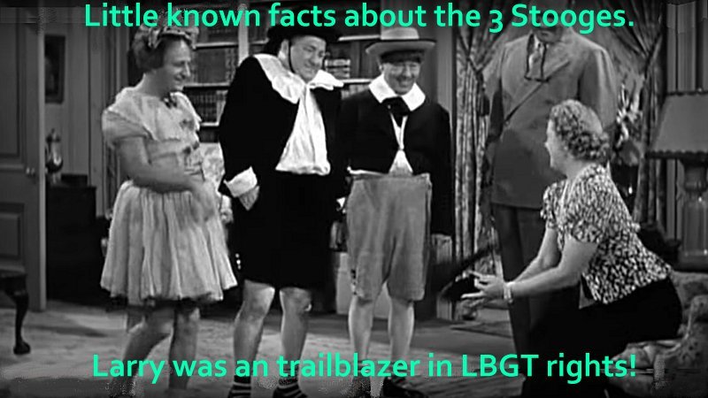 stokid_historic_facts.jpg