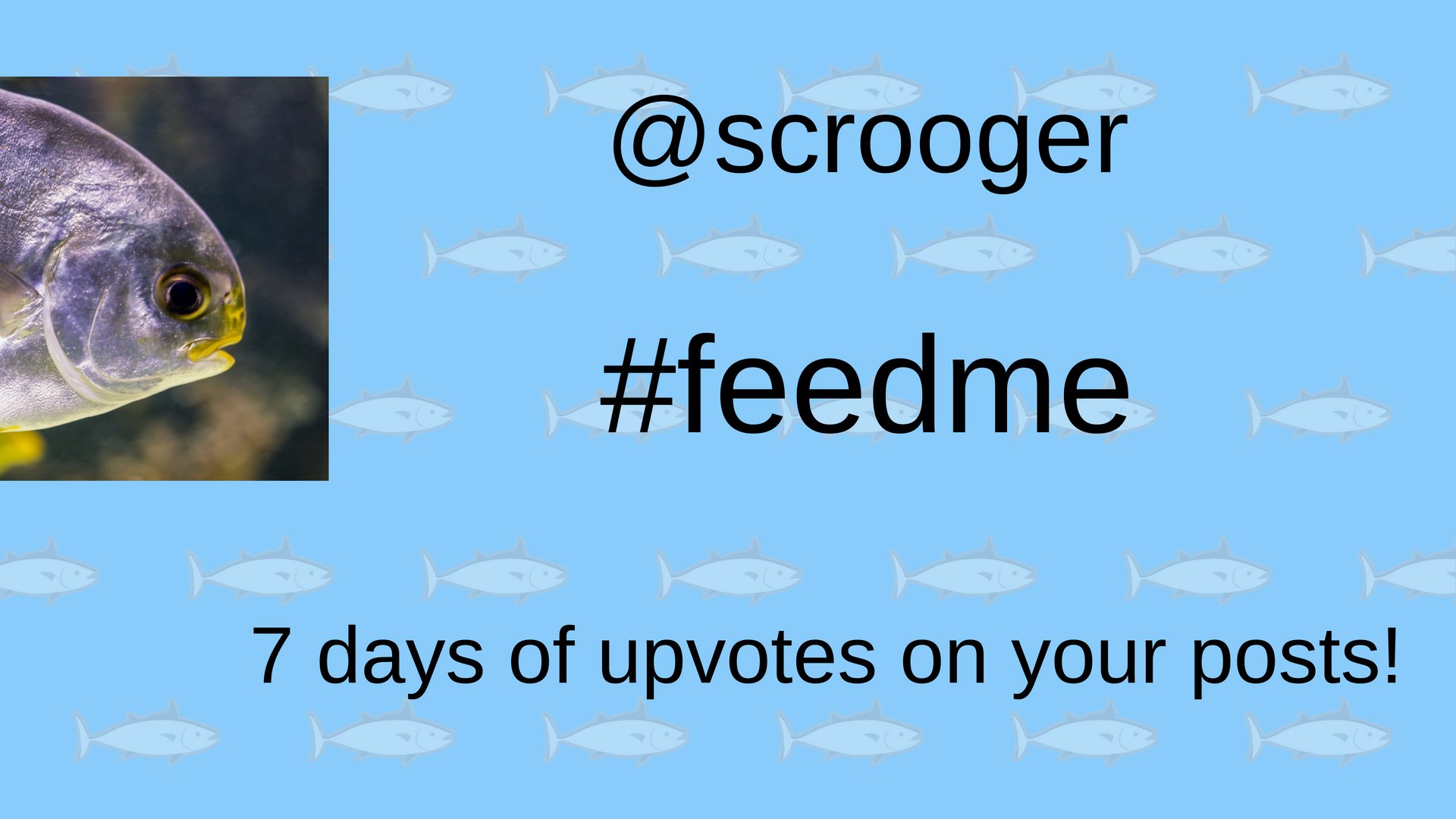 steemit minnow tips make money now scrooger fitinfun.jpg