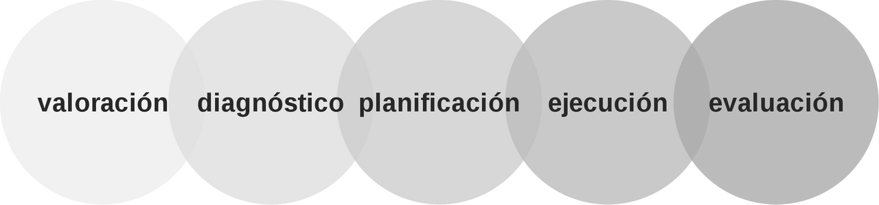 1920px-Proceso_de_atención_de_enfermería_(NANDA).svg.png