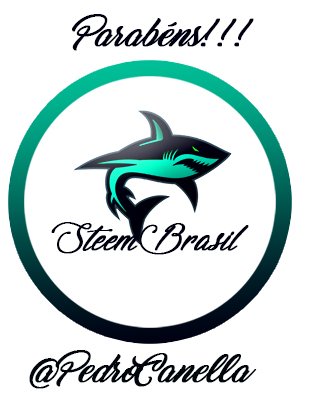 vencedor-steembrasil01.jpg