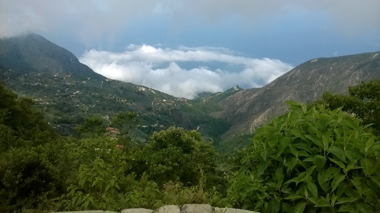 WP_20151111_021.jpg