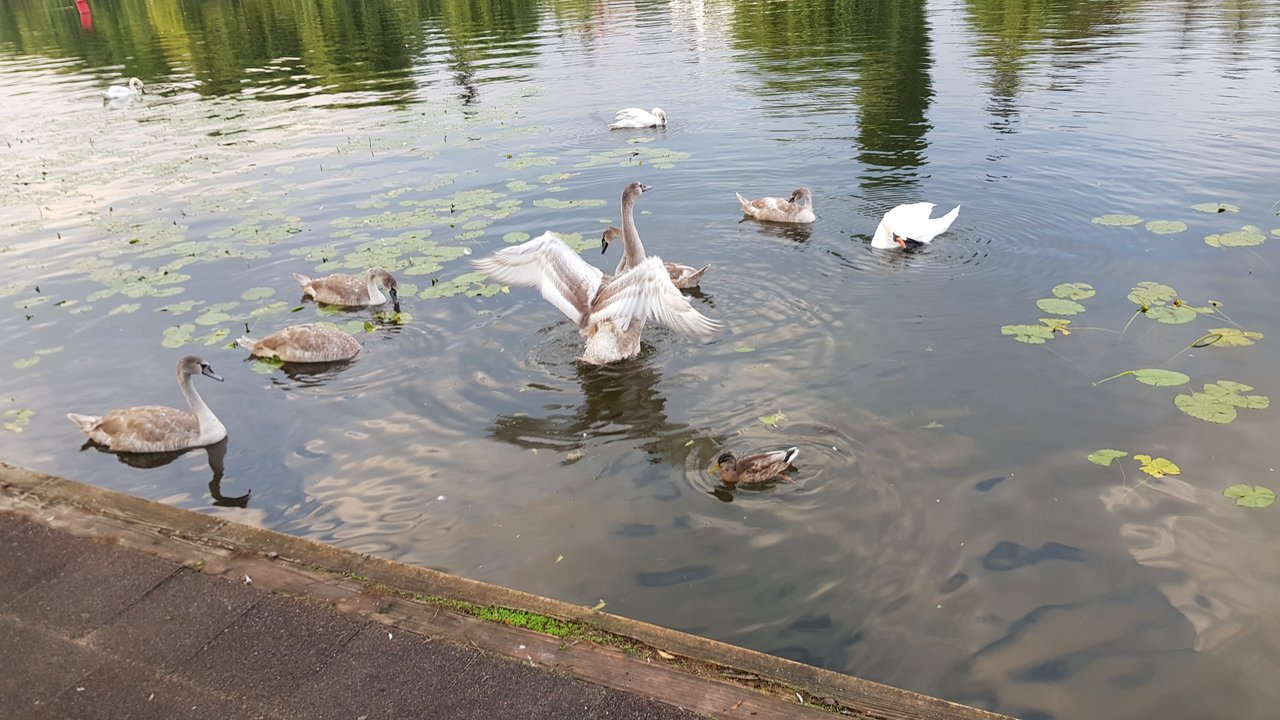 20200902_182419.jpg