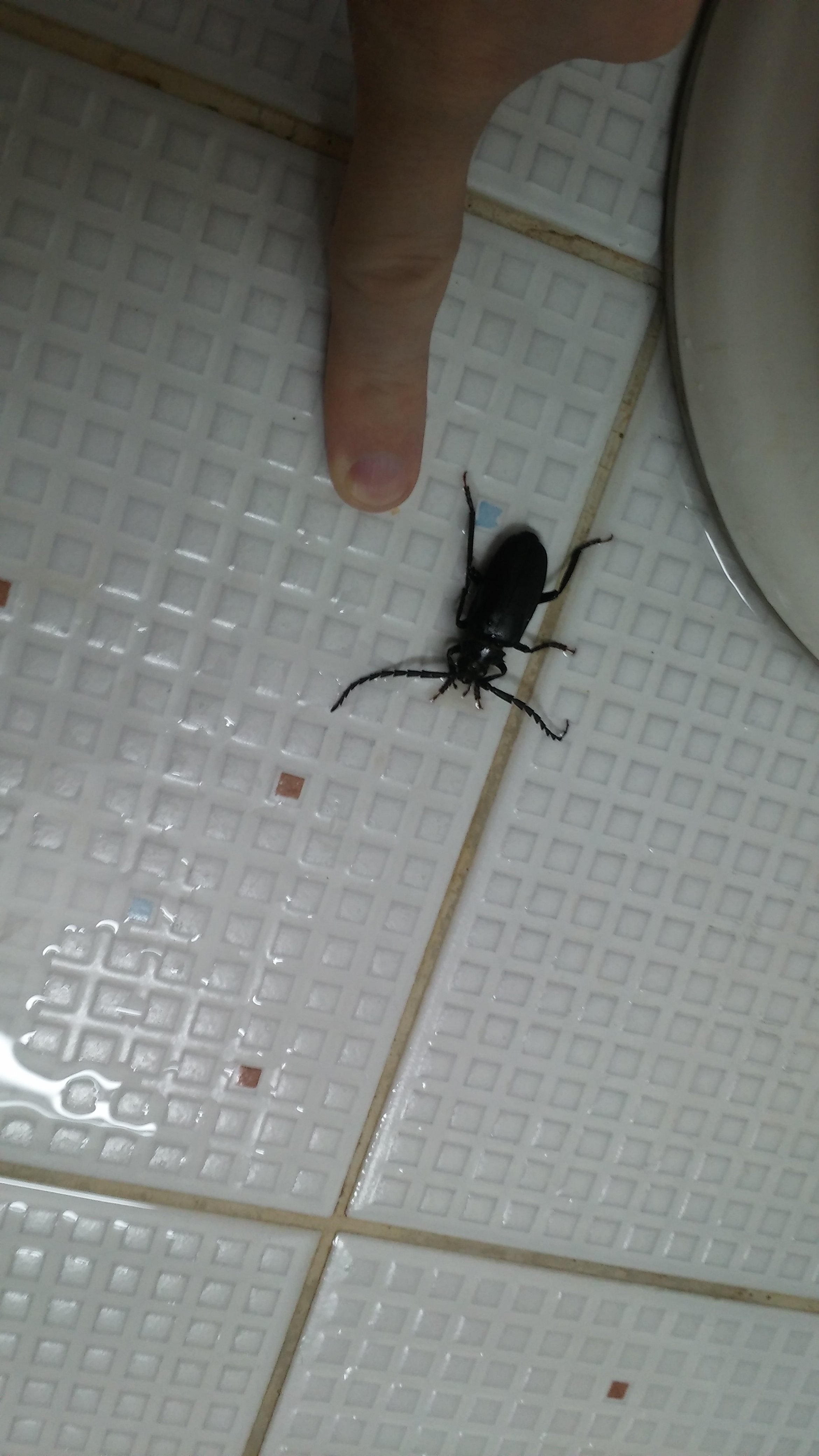 20180624_094321.jpg