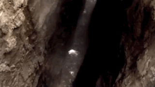 image.gif