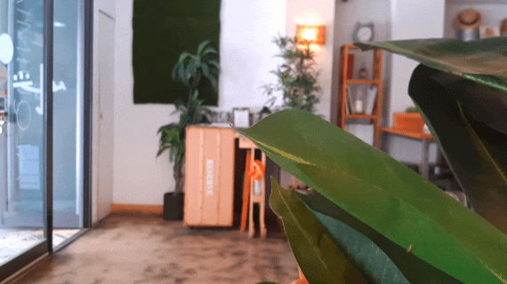 3.gif