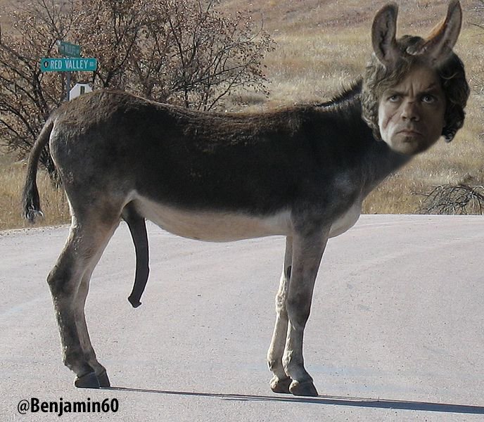 688px-Donkey_penis copy.jpg