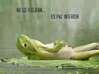 paz-interior.jpg