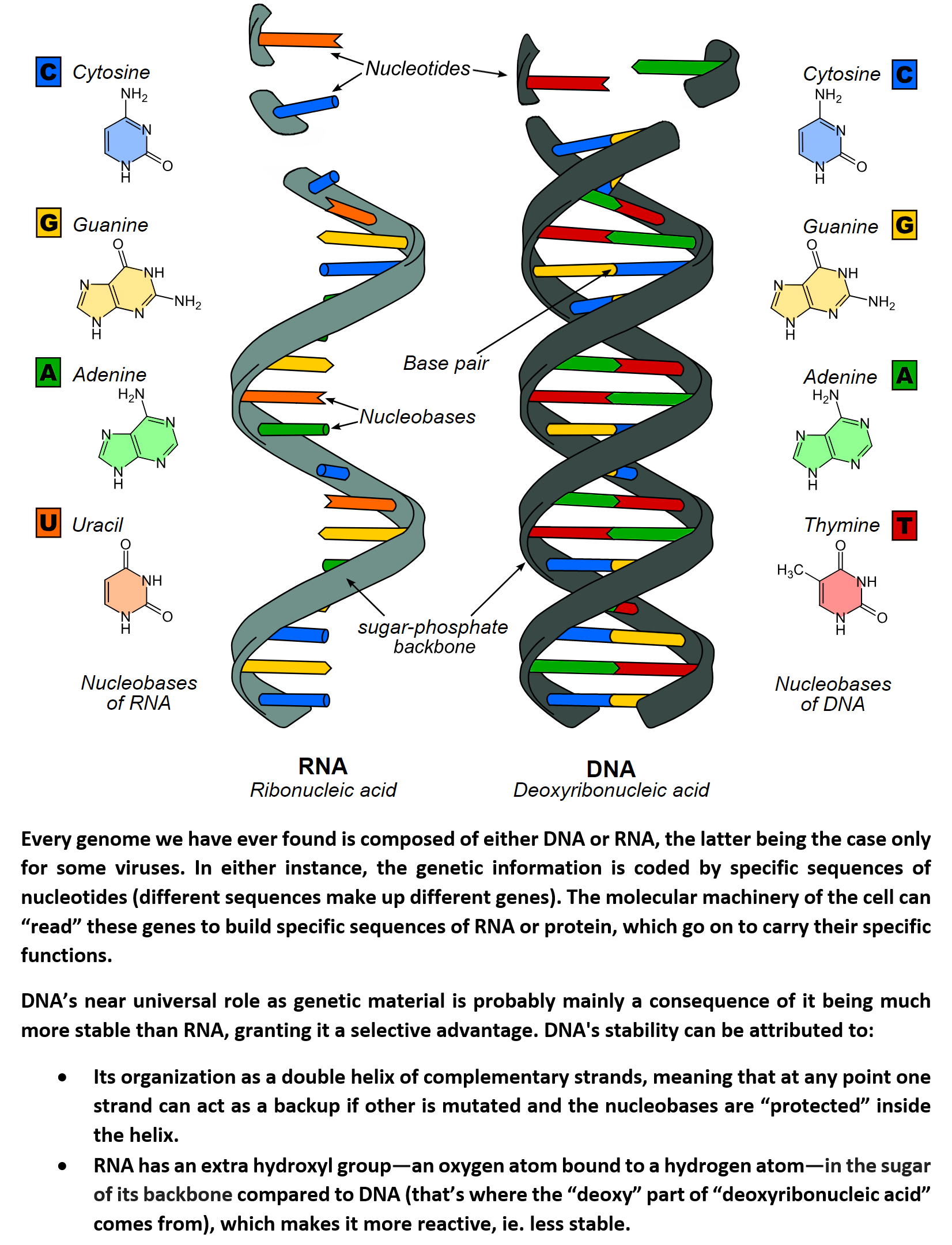 Theories On The Origin Of Life 