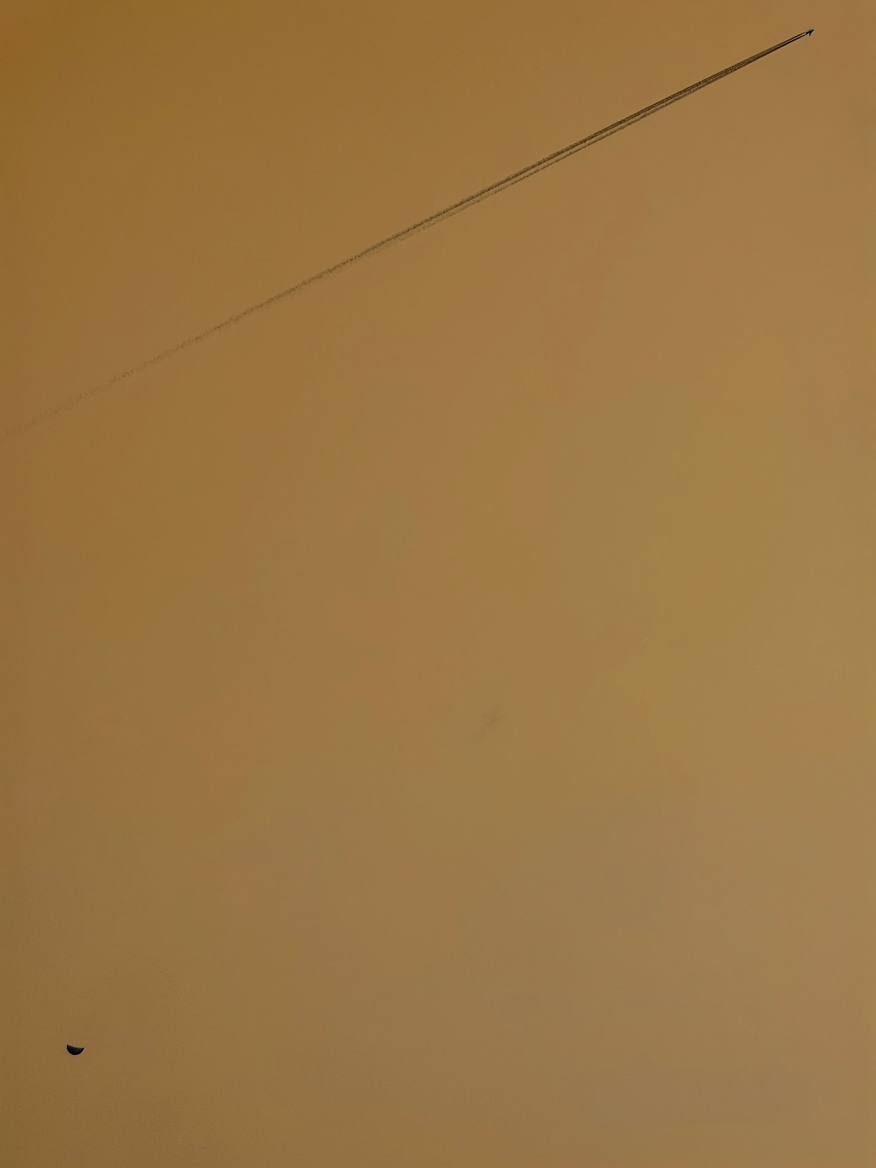 Untitlekd-1.gif