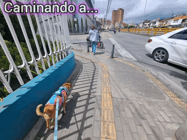 1000026665.gif
