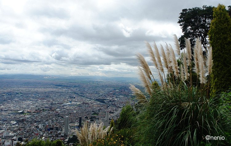 monserrate02.jpg