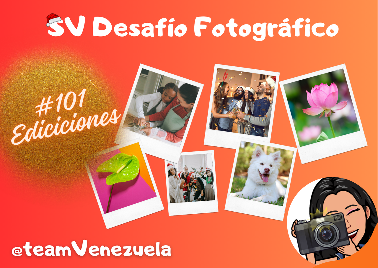 SV diseño _20240105_175359_0000.png