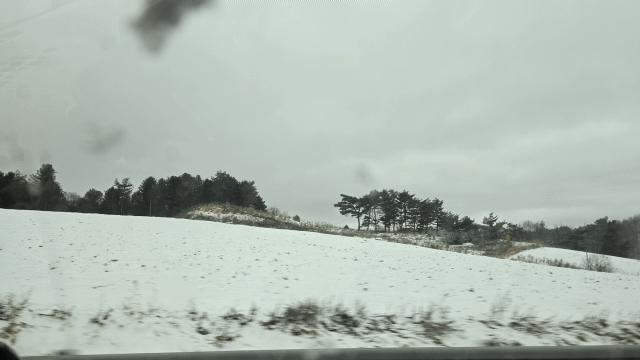 1000112035.gif