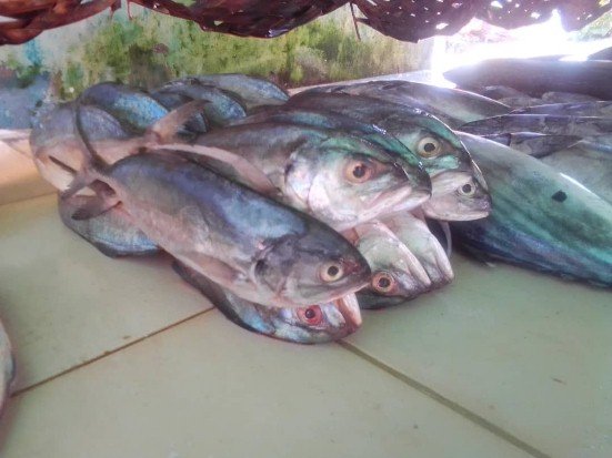 pescado2240822.jpg