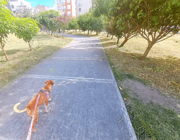 1000027295.gif