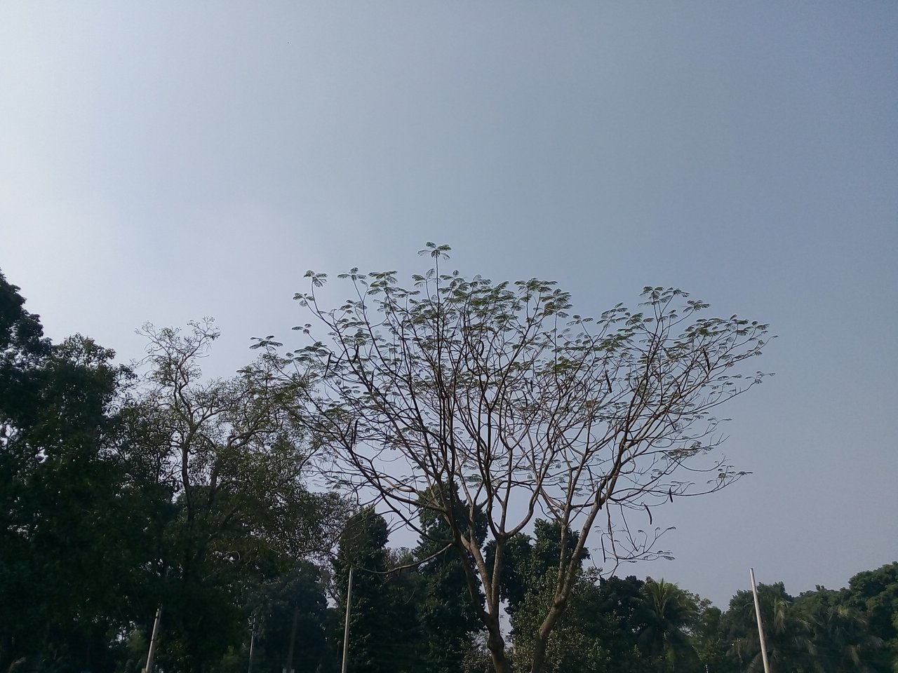 IMG_20201225_122108.jpg