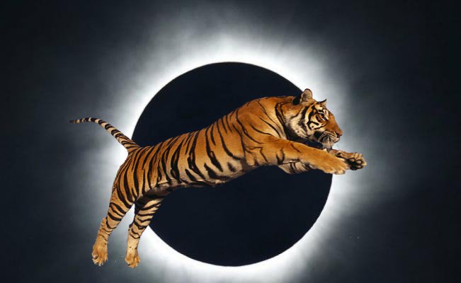 luna tigre.jpg