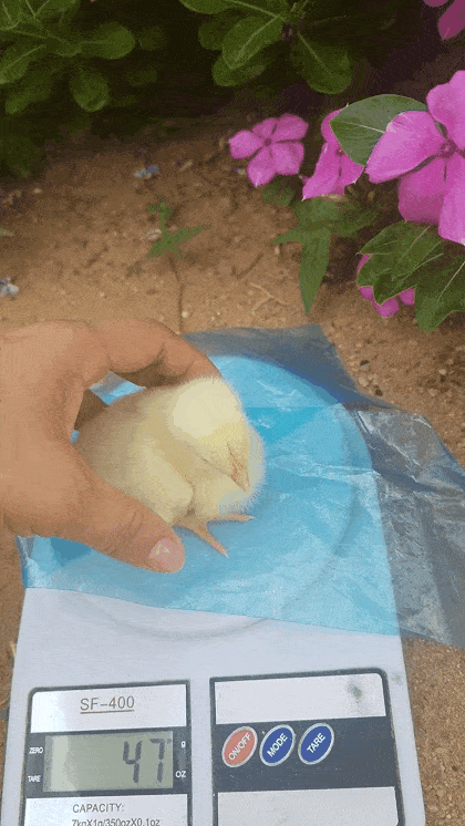 GIF_20250427_012327_347.gif